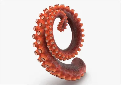 Dans cet animé, on parle souvent de tentacules.