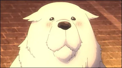 On voit ce chien dans l'animé.