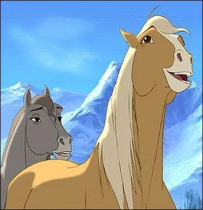 De quelle couleur est la robe de la m&egrave;re de Spirit ?