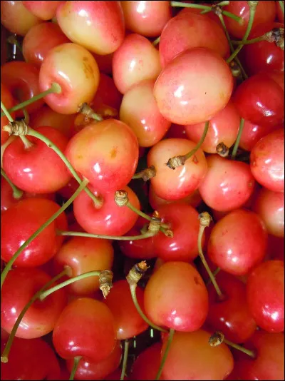 Lequel de ces livres est de Marie Courtemanche ?