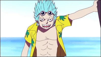 Comment se blesse Franky avant qu'il devienne un Cyborg ?