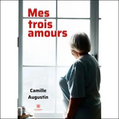 À quel auteur doit-on le roman "Trois amours" ?