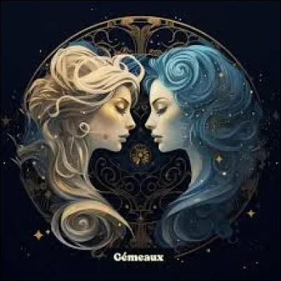 Qu'aiment les Gémeaux ?