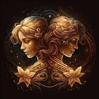 Quel est le signe opposé à ce signe ?