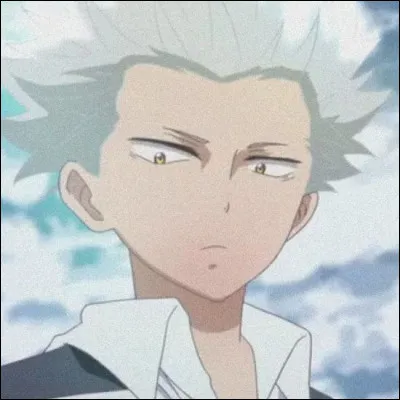 Quels terrains occupe Wolf ?