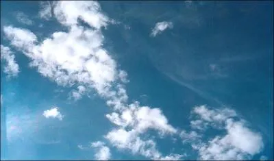 Lequel de ces animaux vole ?