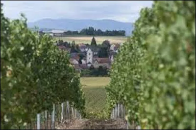 Commune de l'arrondissement de Saverne, Kienheim se situe dans le département ...