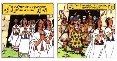 Et pour en finir avec la taxonomie, l'autre famille des vautours - dite "du Nouveau Monde" - comprend 3 espèces qui sont les urubus, les [...complétez !]...