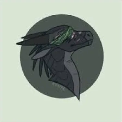 Parmi ces personnages Aile de Nuit, lequel préfères-tu  ?