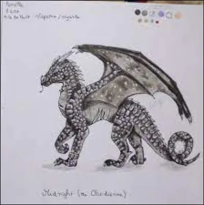 Quelle image tattire le plus  ?