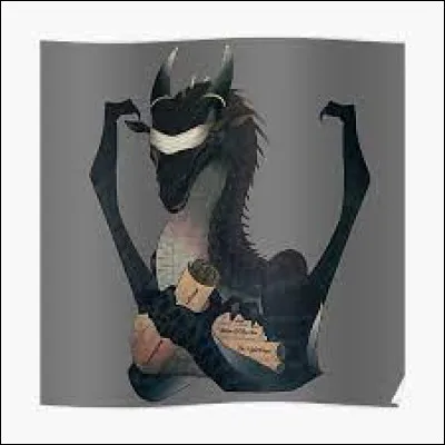 Quel est ton pouvoir  ?