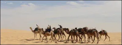 Dans quel pays 500 000 Tchadiens avaient-ils migré avant 2006 ?