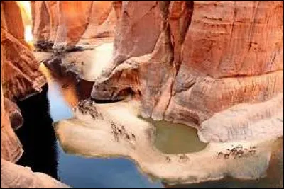 Quel article de la Constitution de 1996 a permis à un président de se présenter plus de deux fois, lorsqu'il a été modifié ?