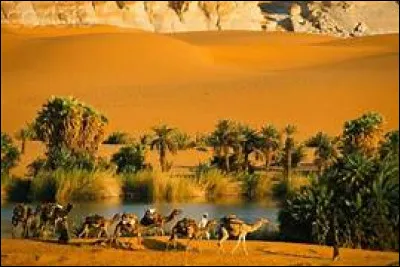 En quelle année le Tchad s'est-il lié à la France libre ?