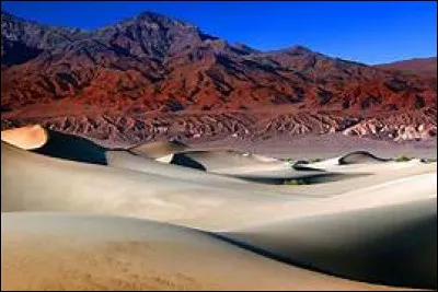 Qui Goukouni Oueddei a-t-il évincé grâce à la seconde bataille de N'Djaména ?