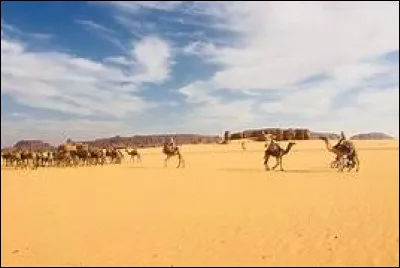 En 1981, avec quel pays le Tchad voulait-il fusionner ?