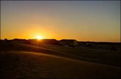 En quelle année Idriss Déby a-t-il remporté sa première élection présidentielle ?