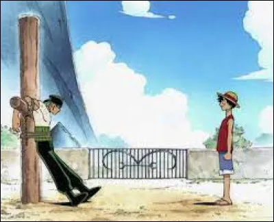 Dans l'épisode 51, on voit Sanji se balader dans les rues du village de Logue Town. Il cherche une belle fille qu'il a distingué le jour précédent, mais en chemin une femme l'arrête. Cette femme est connue pour être la meilleure cheffe cuistot d'East Blue. Elle propose à Sanji un duel. Comment se nomme-t-elle ?