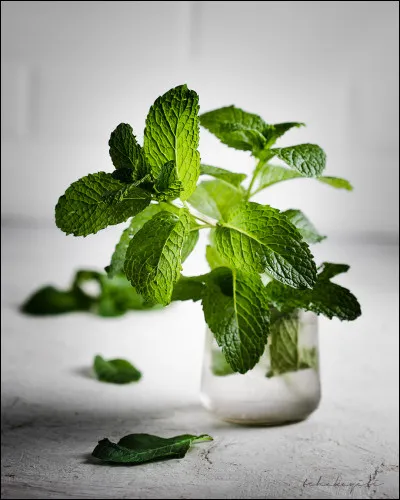 Tu préfères, comme dimunitif :