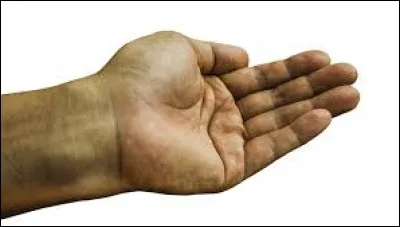 Quelle lettre faut-il ajouter pour obtenir un navigateur ?