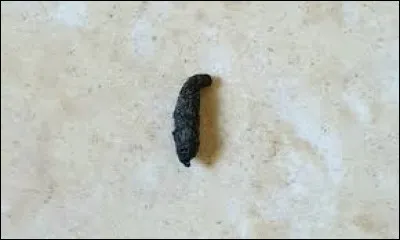 Quelle lettre faut-il remplacer pour obtenir une grande cavité ?