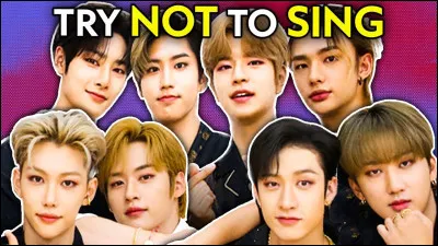 Qui est ton membre de Stray Kids préféré (suite) ?