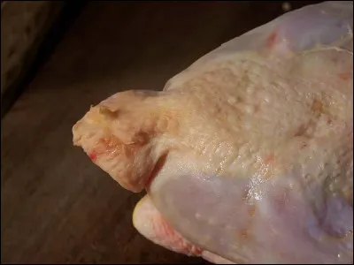 Quel est l'autre nom du croupion, excroissance en forme d'as de pique chez le poulet ?