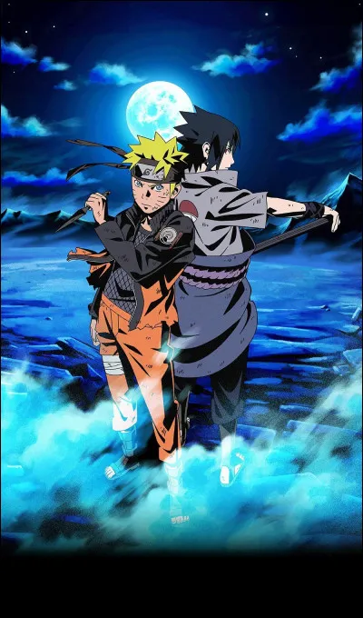 Sasuke et Naruto ont effectué le même nombre de missions de rang D.