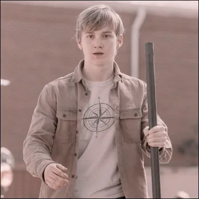 Comment s'appelle le frère d'Henry, tué par un sauveur ?