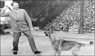 De quelle race son chien Blondi était-il ?