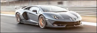 Sur quelle marque de voiture peut-on voir un logo avec un taureau ?