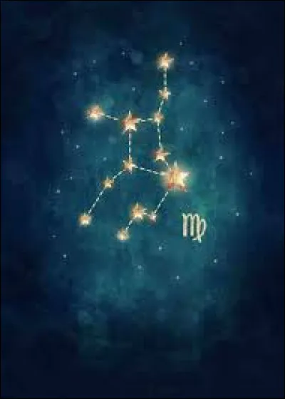 Qu'aiment les ''Vierge'' ?