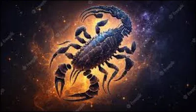 Quelle est sa maison ?