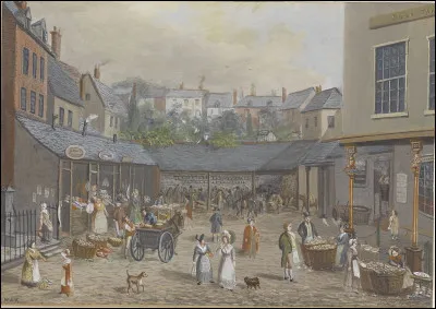 Lequel de ces mots est le nom vulgaire de la bergeronnette ?