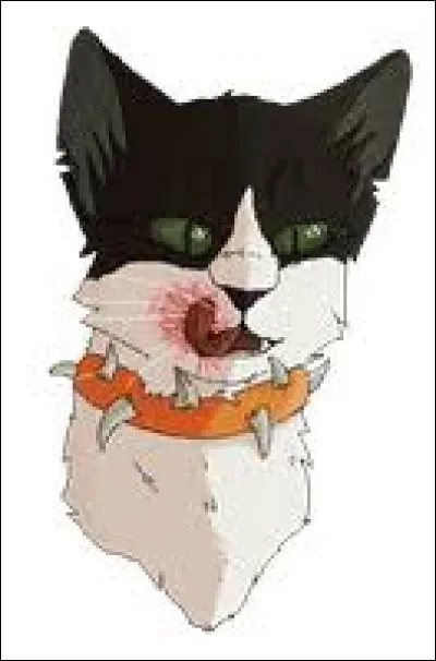 Tu rejoins la troupe de Fléau. Carcasse te demande d'aller chasser pour lui. Comment réagis-tu ?