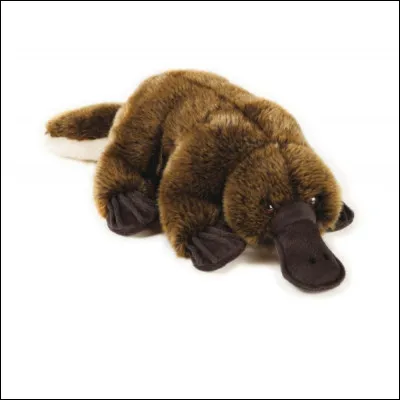 Quel est cet animal ?