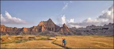 En quelle année cet État a-t-il adhéré à l'Union américaine ?