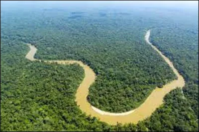 La superficie forestière mondiale est de 4,06 milliards d'hectares. À quel pourcentage de la superficie des terres sur notre planète, cela correspond-il ? (Photo : la forêt d'Amazonie.)