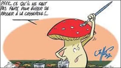Parmi ces trois variétés de cèpes, lequel est un cèpe de Bordeaux ?