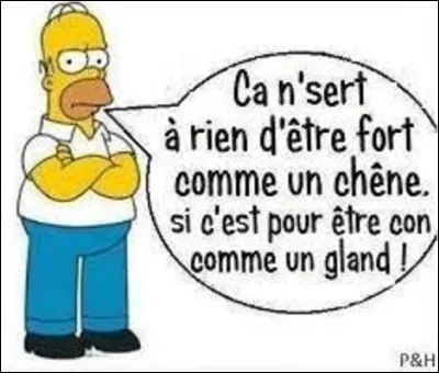 Parmi ces trois variétés de chênes, lequel est un chêne liège ?