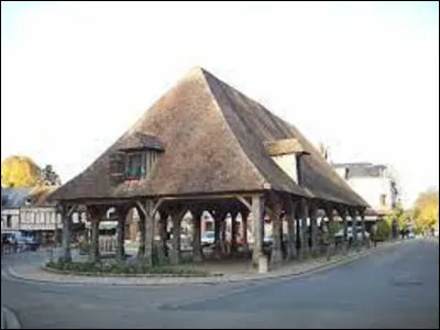 Dans quel département de la région Normandie, la commune de Lyons-la-Forêt se situe-t-elle ? (Photo : les halles qui datent du XVIIe siècle.)