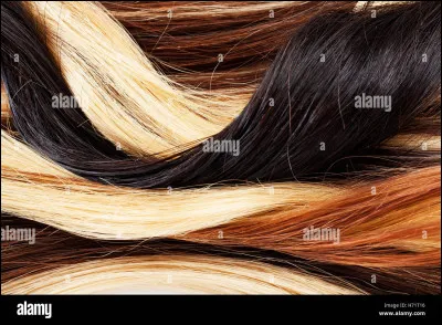 Lequel est l'intrus ?