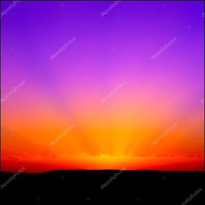 Lequel est l'intrus ?