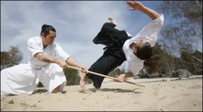 De quel pays est originaire le sport de combat appelé aïkido  ?