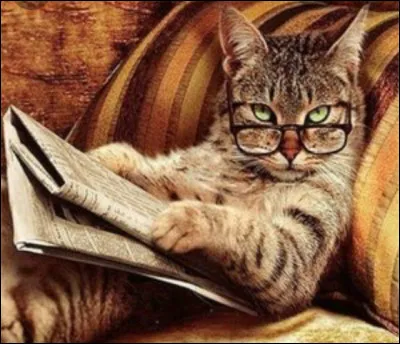 Quel est ton caractère ?