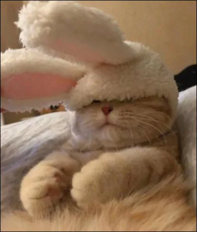 Et enfin, quelle est ta matière préférée ?