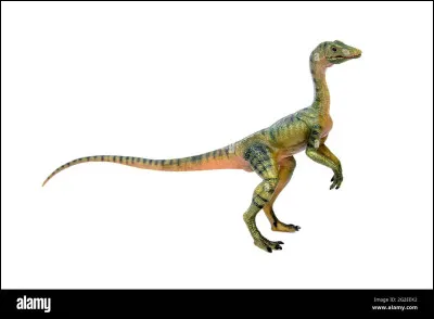 Quel est ce dinosaure ?