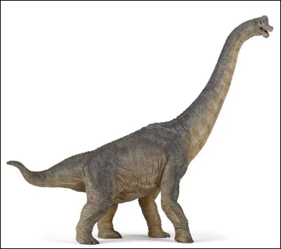 Quel est ce dinosaure ?