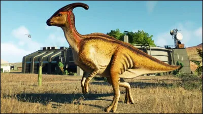 Quel est ce dinosaure ?