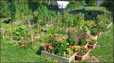 Dans quel pays, un carré de jardin potager est appelé ''carreau'' ?